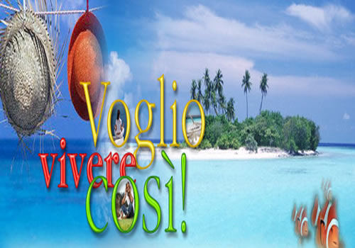 voglioviverecosi.jpg