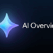 Google IA Overview