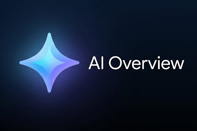 Google IA Overview